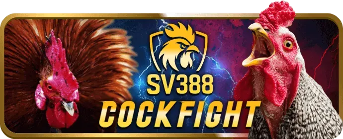 Khuyến mãi hàng ngày, hàng tuần tại u888vip1 Casino